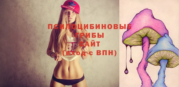 трава Приозерск
